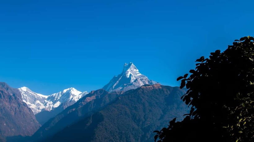 From Pokhara: 4-Day Mardi Himal Base Camp Trek - Tea Houses, Meals, and the Real Budget Reality