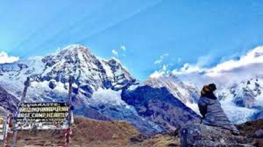 From Pokhara: 5-Day Annapurna Basecamp Trek with Hot Springs - Day 2: Deurali day through rhododendron, oak, and bamboo (to ~2,900m)