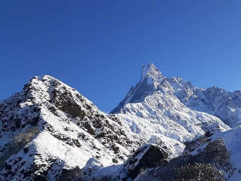 From Pokhara: 5-Day Mardi Himal Base Camp Trek - The guide team makes the difference you’ll feel on day two