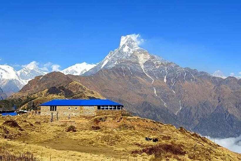 From Pokhara: 5-Day Mardi Himal Base Camp Trek - Day 5: Low Camp → Sidding lunch pause → Lumre → drive back to Pokhara