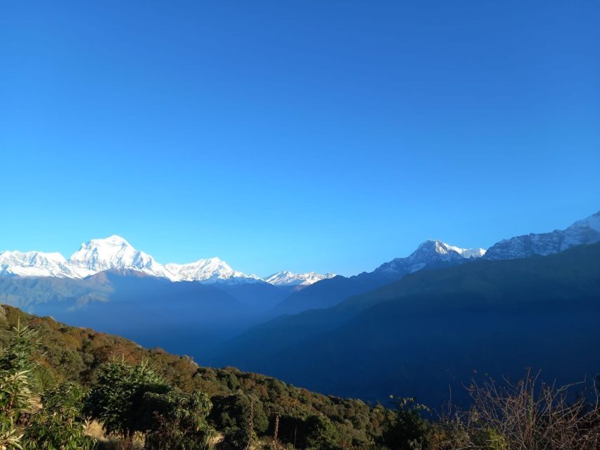 From Pokhara: Australian Camp & Dhampus 1, or 2-Day Trek - Key Highlights You’ll Actually Care About