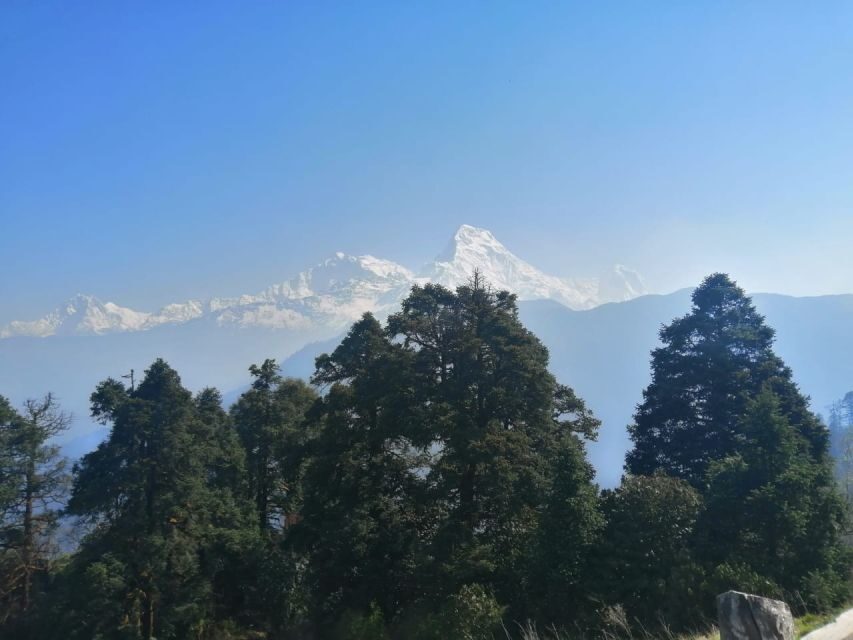 From Pokhara: Budget 2 Night 3 days Poon hill trek - Day 3: Pre-dawn Poon Hill hike (3,210m), Machhapuchhre views, then Ulleri steps back to Pokhara