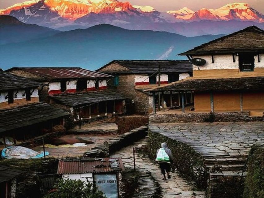 From Pokhara: Guided Tour to Visit 4 Himalayas View Point - Why this 4-viewpoint day tour from Pokhara makes sense