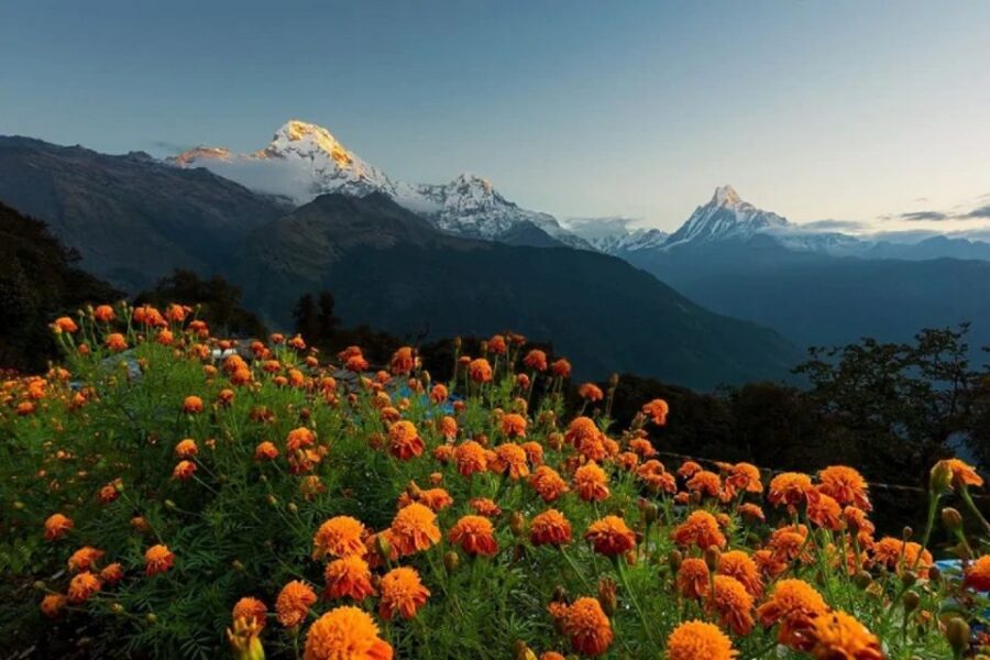 From Pokhara: Guided Tour to Visit 4 Himalayas View Point - Who this tour is best for
