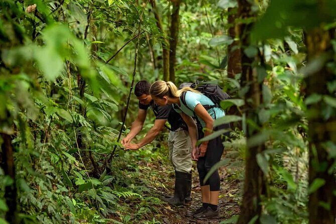 From Pokhara : Hiking to Peace Pagoda via Fewa Lake & Jungle - The jungle hike: what you gain when nature is the main event