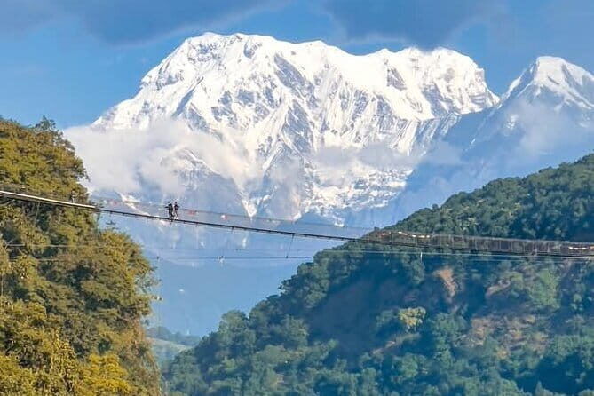 Full day Suspension Bridge, Boating, George, Sightseeing Tour - Key highlights I’d plan around