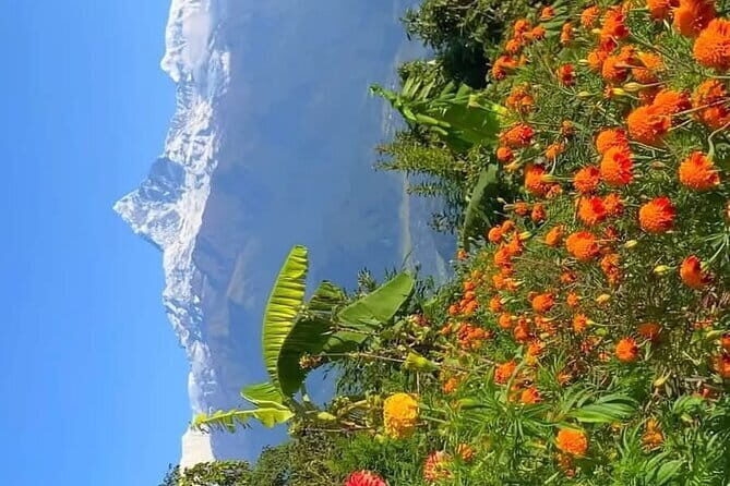 Full day Suspension Bridge, Boating, George, Sightseeing Tour - A private Pokhara route that actually covers real variety