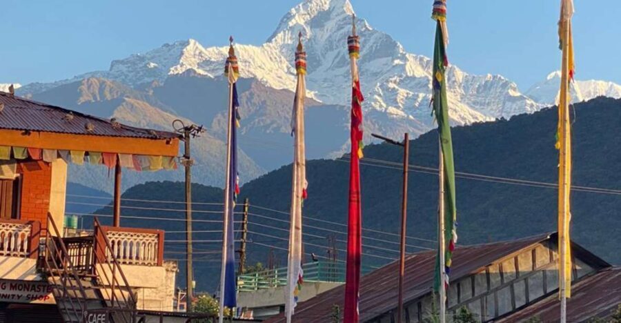 Full Day Tibetan Cultural Tour - 8 Hours in Pokhara: What the Timing and Small Group Feel Like