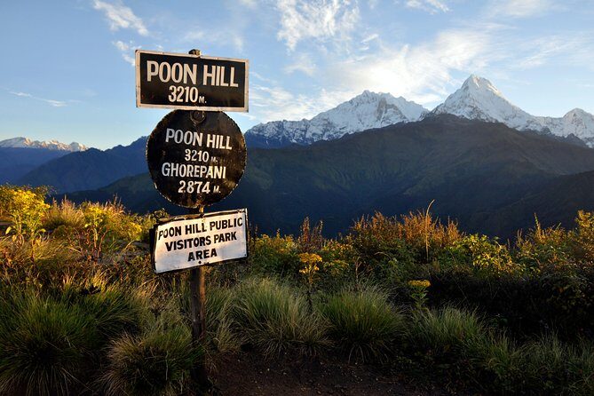 Ghorepani Poonhill Trek 5 Days from Pokhara - Price and Value: What Your $450 Actually Buys You