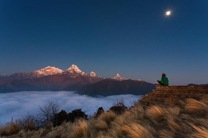 Ghorepani Poonhill Trek 5 Days from Pokhara - Day 2: Ulleri to Ghorepani Through Oak and Rhododendron