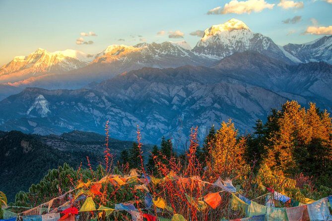 Ghorepani Poonhill Trek 5 Days from Pokhara - What the Small-Group Setup Changes for You
