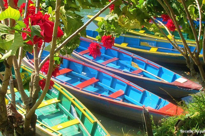 Half-Day Private Pokhara Tour - Price and Value: Why $67 Feels Fair Here