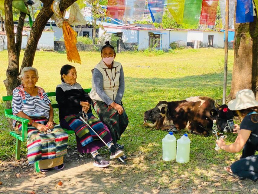 Half day Tibetan cultural tour - Tashiling Tibetan settlement: schools, identity, and community life