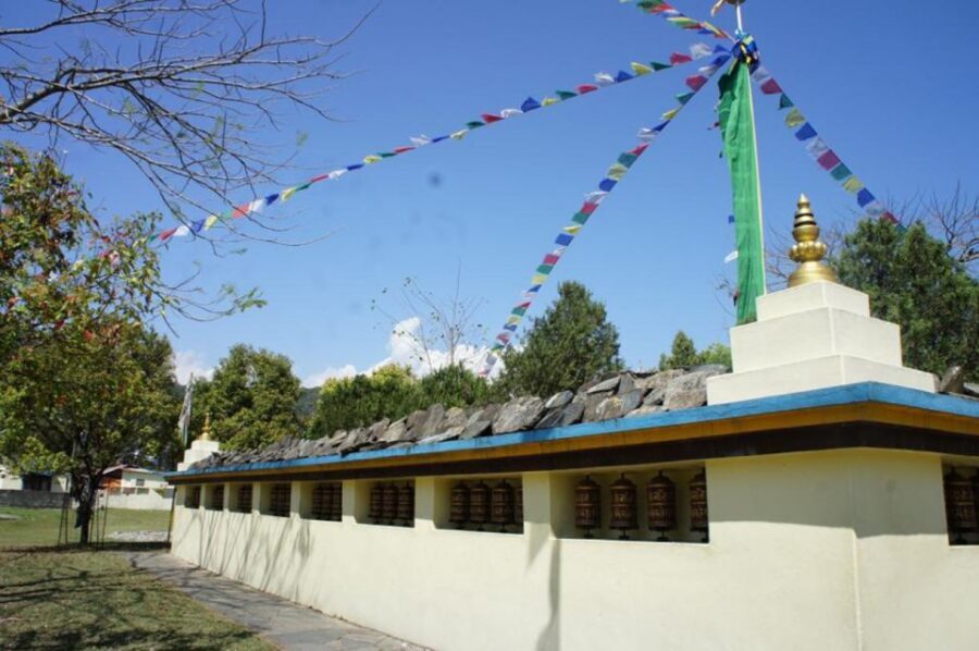 Half day Tibetan cultural tour - Carpet workshop and showroom: how wool becomes culture