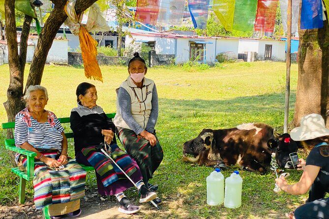 Half Day Tibetan Cultural tour Pokhara - A Half-Day Into Tibetan Life in Pokhara