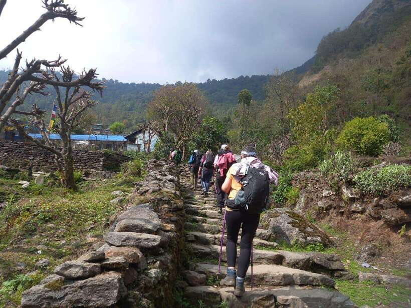 Kathmandu/Pokhara: 5-Day Annapurna Base Camp (ABC) Trek - Day 4: Sunrise at ABC, then 12–14 km back to Bamboo/Sinuwa (7–8 hours, down to 2,340 m)