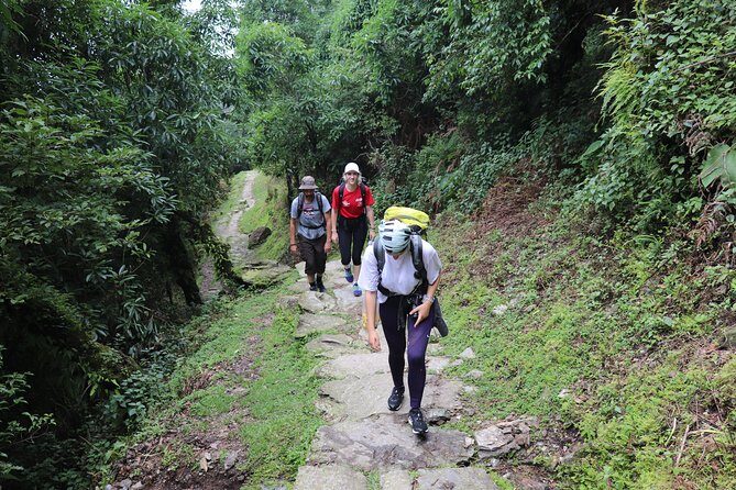 Mardi Himal Base Camp Trek (5 Days) - Key Highlights I Think You’ll Really Notice