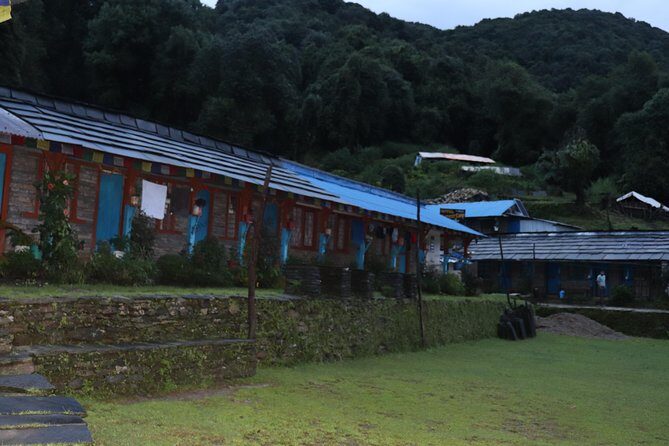 Mardi Himal Base Camp Trek (5 Days) - Mardi Himal Base Camp in 5 Days: The Calm Alternative to Annapurna