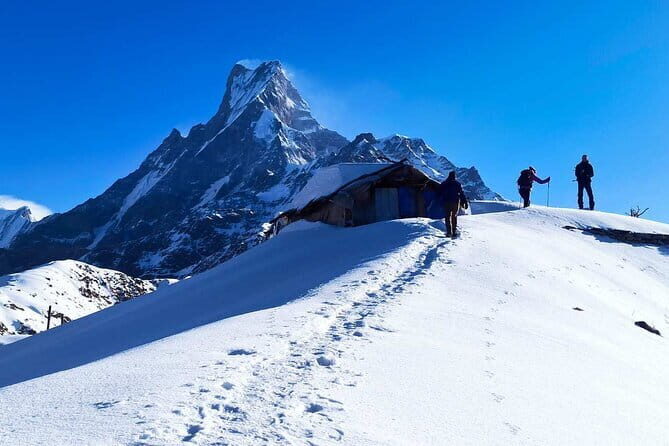 Mardi Himal Base Camp Trek from Pokhara 4 Days - Price and What You Actually Get for Around $270