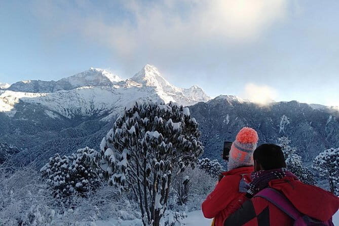 Mardi Himal Trek - Day 3: Choosing Mardi Himal Base Camp vs View Point