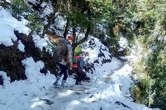 Mardi Himal Trek - Day 4: Landruk descent and village life with Annapurna South views