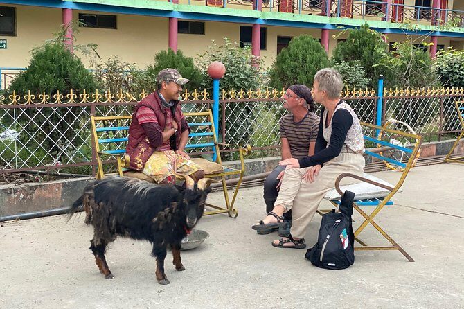 Morning Half Day Tibetan cultural tour to Tibetan Settlements - Why This Morning Tibetan Tour Works: Timing, Transport, and Tea