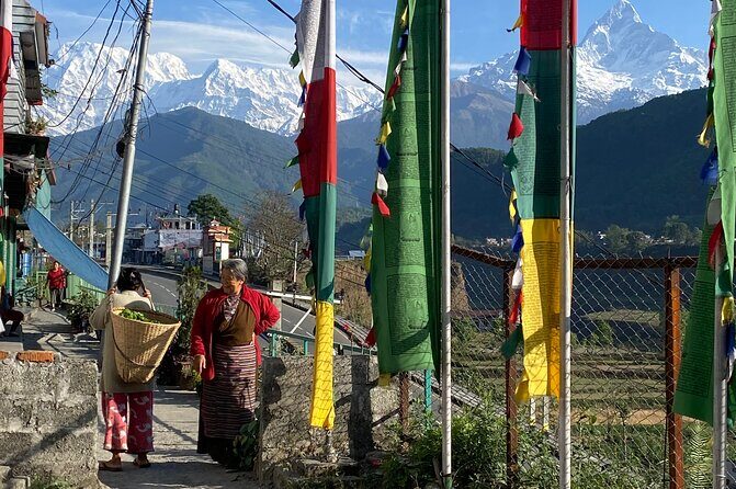 Morning Half Day Tibetan cultural tour to Tibetan Settlements - Stop 3: Pema Ts’al Sakya Monastic Institute and Seeing Monastic Life Up Close