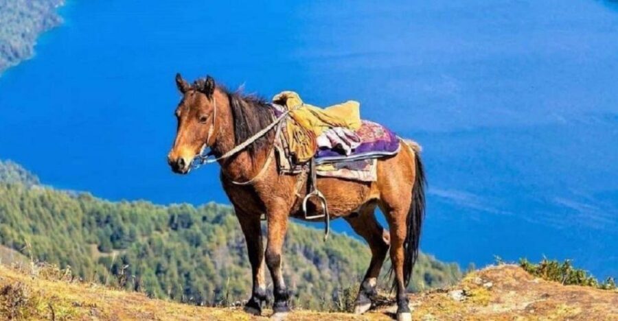 Pokhara: 1-Hour Horseback Ride with Hotel Pickup - Pokhara’s Phewa Lake, from a saddle