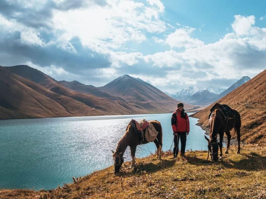 Pokhara: 1-Hour Horseback Ride with Hotel Pickup - The scenery you’ll actually care about: peaks, forests, meadows, wildlife