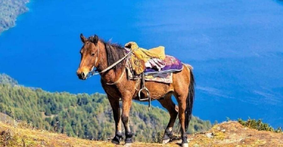 Pokhara: 1-Hour Horseback Ride with Hotel Pickup - The equestrian center welcome: gear, safety, and your horse