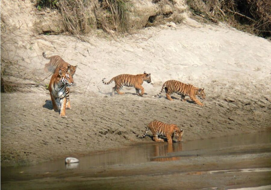 Pokhara: 1 Night 2 Day Chitwan Safari Tour - From Pokhara to Chitwan: The Tourist Bus Run That Sets the Tone