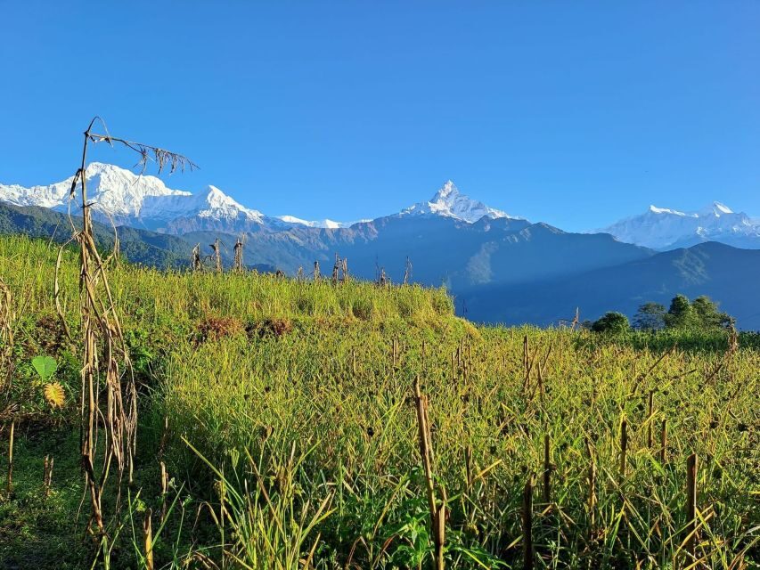 Pokhara: 2-Day Australian Camp & Dhampus Village Easy Hike - Day 1: Kande to Australian Camp for the Big Peak Photos