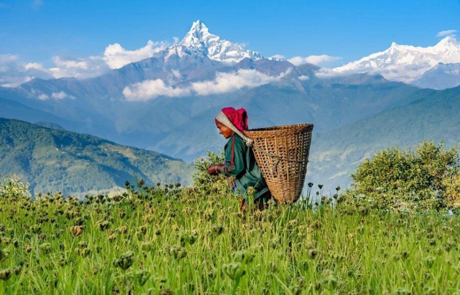 Pokhara: 2-Day Australian Camp & Dhampus Village Easy Hike - Getting Your Body Ready for an Easy Hike That Still Has Stairs