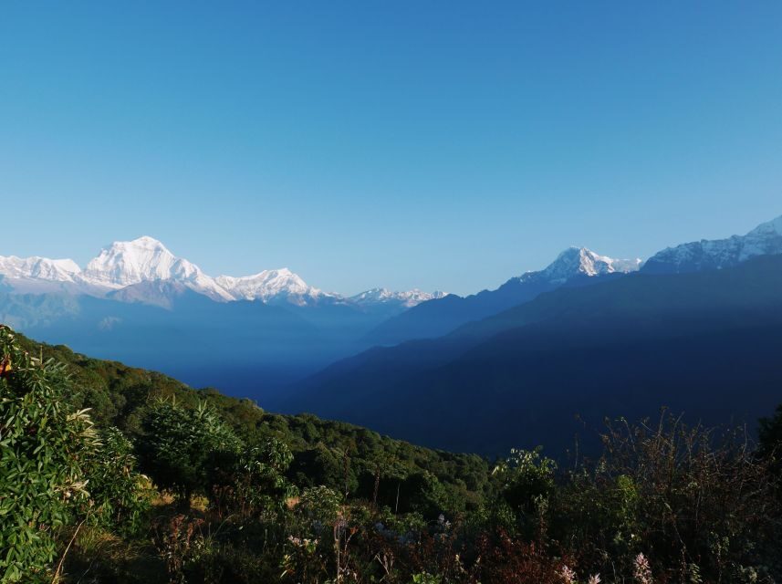 Pokhara: 3-Day Ghorepani and Poon Hill Trek - Day 3: Poon Hill sunrise, Dhaulagiri views, and the drop back to Pokhara