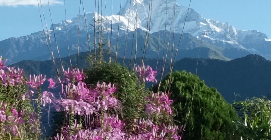 Pokhara: 3-Day Trek - Why this foothills trek feels like Himalayas, not just a walk