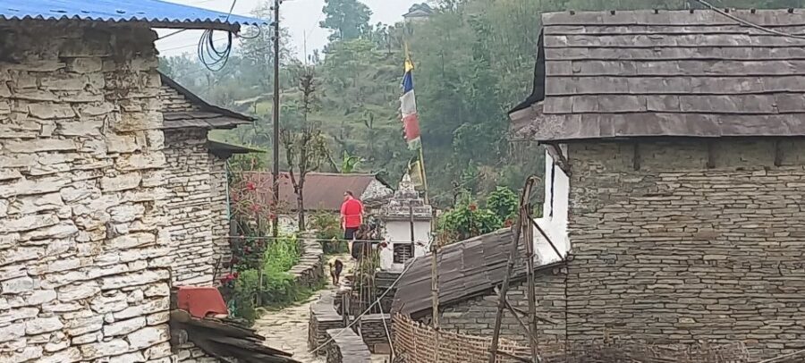 Pokhara: 3-Day Trek - Guides and porters: how this stays safe and personal