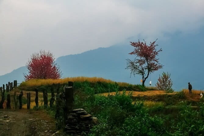 Pokhara 3 Days Ghorepani and Poon Hill Private Trek via Ghandruk - Price and Logistics: What $218 Covers (And What You’ll Pay Extra)