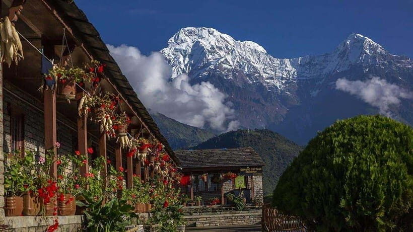 Pokhara: 4-Day Ghorepani, Poonhill & Ghandruk Mountain Trek - Day 3: Poon Hill at dawn, then the descent into Ghandruk