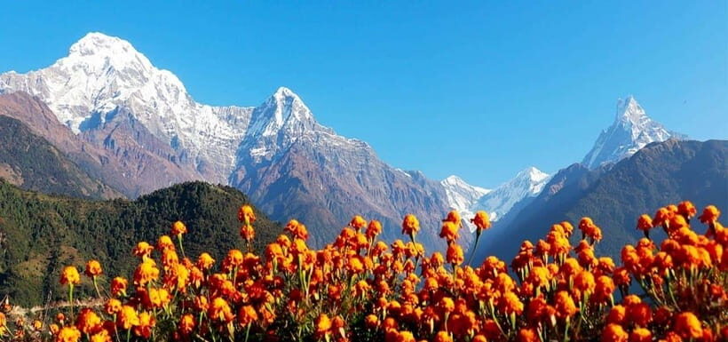 Pokhara: 4-Day Ghorepani, Poonhill & Ghandruk Mountain Trek - Poon Hill sunrise: the main event you plan around