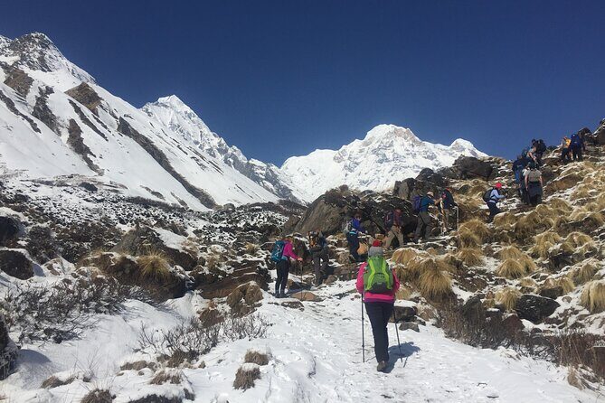 Pokhara: 4 Day Poon Hill Trek - Ulleri Stairs and Rhododendron Walks: What You’ll Actually Feel