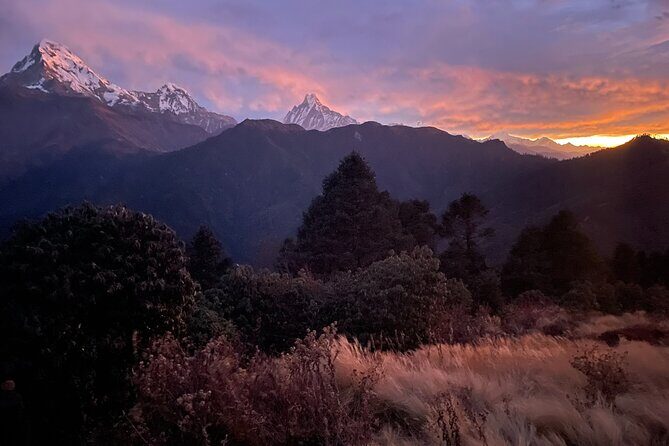 Pokhara: 4 Days Poon Hill and Ghandruk Trek - Ulleri to Ghorepani: Rhododendron Forests and Village Connection