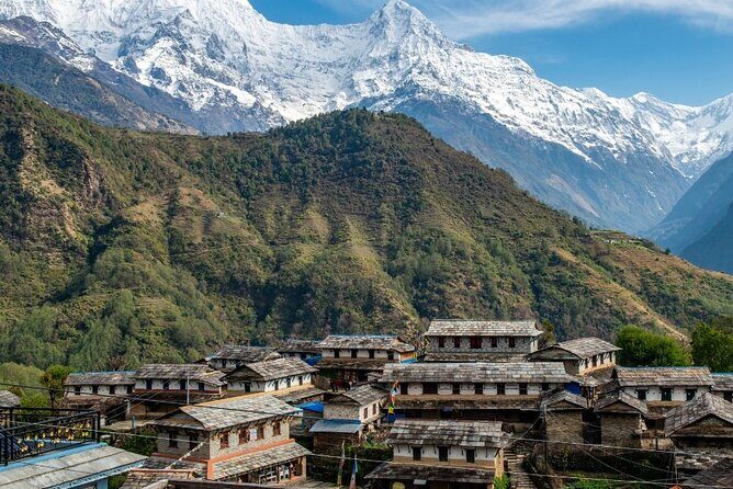 Pokhara: 4 Days Poon Hill and Ghandruk Trek - Meals and Teahouse Comfort: Simple, Clean, and Practical