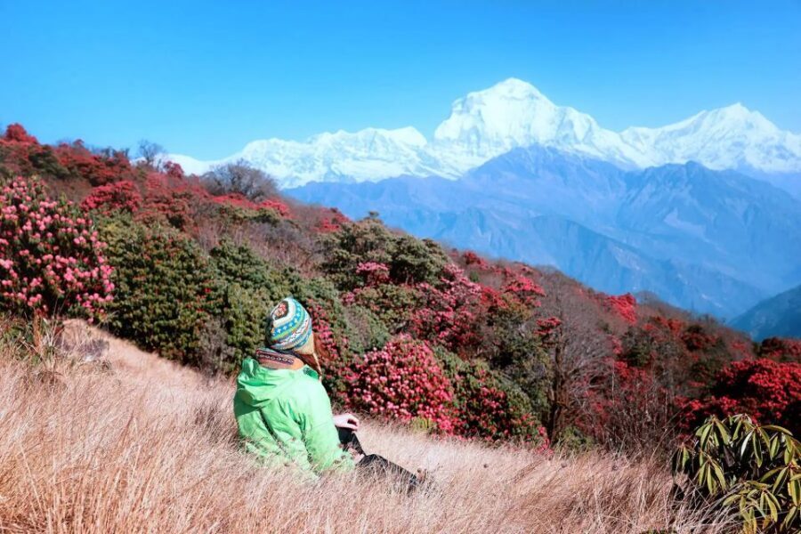 Pokhara: 5-Day Ghorepani and Poon Hill Private Trek - Day 4: Tadapani to Ghandruk (2,610m → 1,940m) for Gurung culture