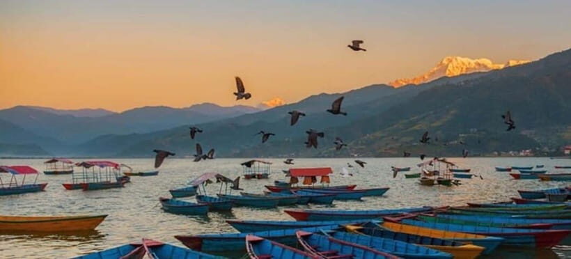 Pokhara: 5 Himalayan Viewpoints Guided Tour - Who should book this, and who might reconsider