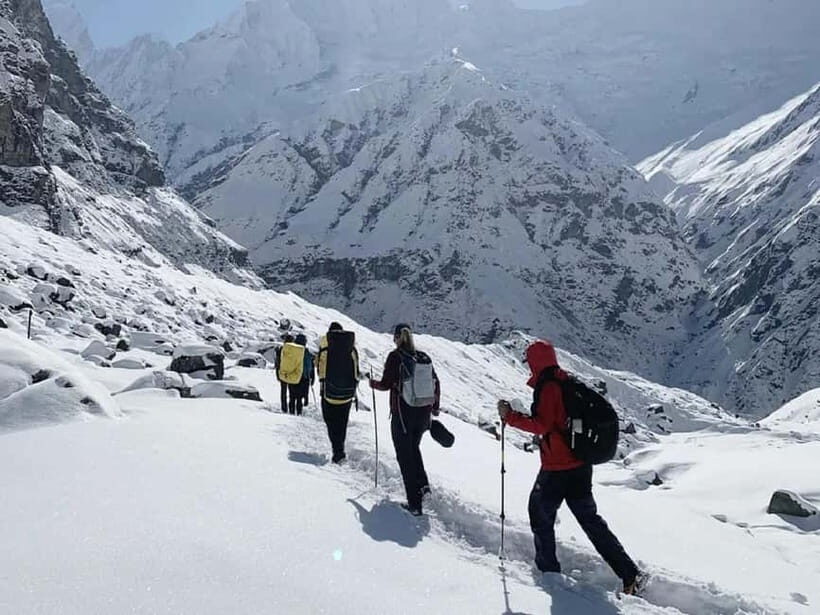 Pokhara: 7-Day Annapurna Base Camp Trek & Natural Hot Spring - Day 3: From Chomrong to Himalaya through bamboo and rhododendron