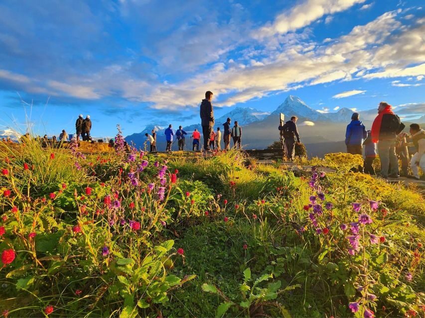 Pokhara: 9-Day Annapurna Base Camp Trek with Poon Hill - Poon Hill morning and onward to Tadapani or Chuile