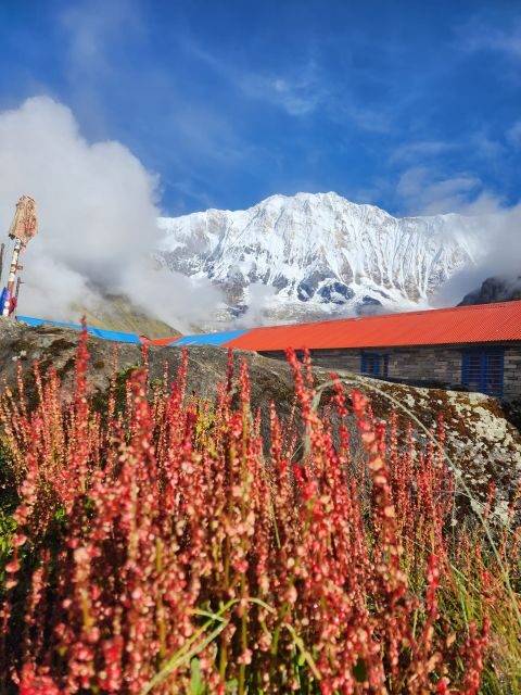 Pokhara: 9-Day Annapurna Base Camp Trek with Poon Hill - Chuile to Sinuwa: river confluence day and more quiet hiking