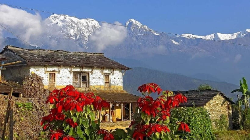 Pokhara: Annapurna Day Hike with Panoramic Views - Australian Camp: The Viewpoint Stop That Makes the Day Click