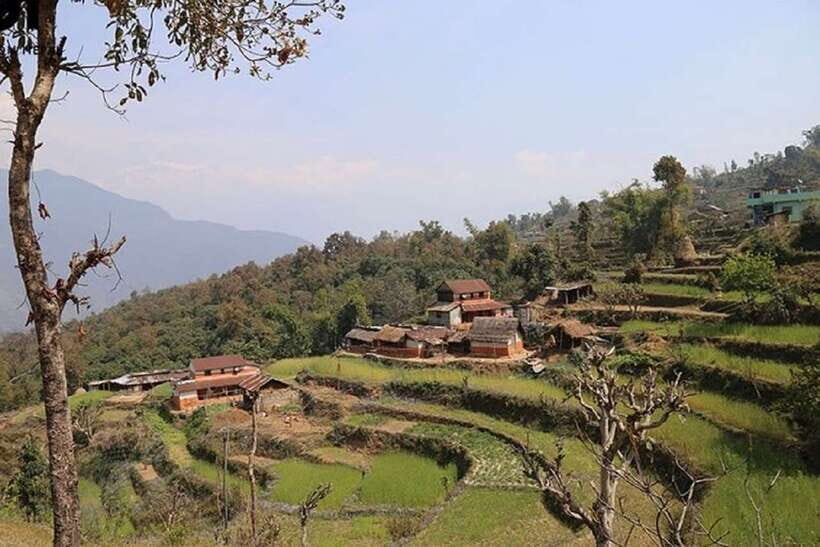 Pokhara: Annapurna Day Hike with Panoramic Views - Getting to Kande: Pickup Options and a Start That Sets the Tone