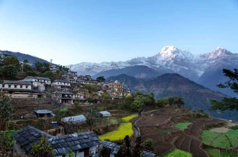 Pokhara: Annapurna Foothills Day Hike with Transfers - Guides: where the day becomes personal (Moti, Purushottam, and others)